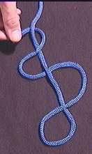 Stevedore Knot